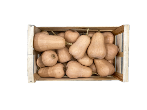 Courge Butternut - Sylvant/Marcon - Agnin (38)/Soucieu En Jarrest (69)