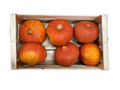 Courge potimarron orange