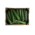 Courgette verte