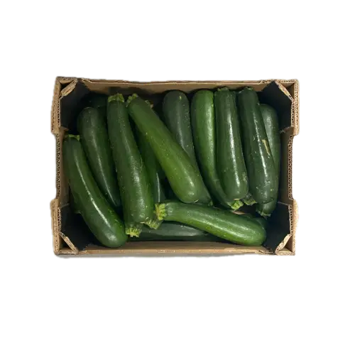 Courgette verte
