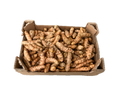 Curcuma