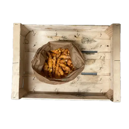 Curcuma frais