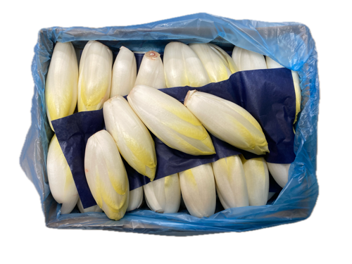 Endive