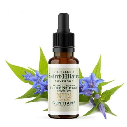 fleur de bach gentiane n¬∞12 bio (gentian) - 20 ml