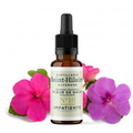 fleur de bach impatiente n¬∞18 bio (impatiens) - 20 ml