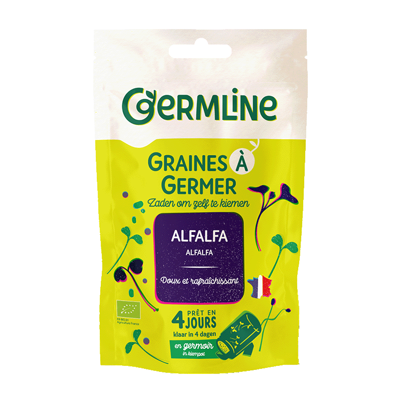 Graines à germer alfalfa bio (origine France) - 150 g