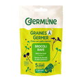 Graines à germer brocoli rave bio (origine Italie) - 150 g