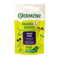 Graines à germer radis noir bio (origine Italie) - 150 g