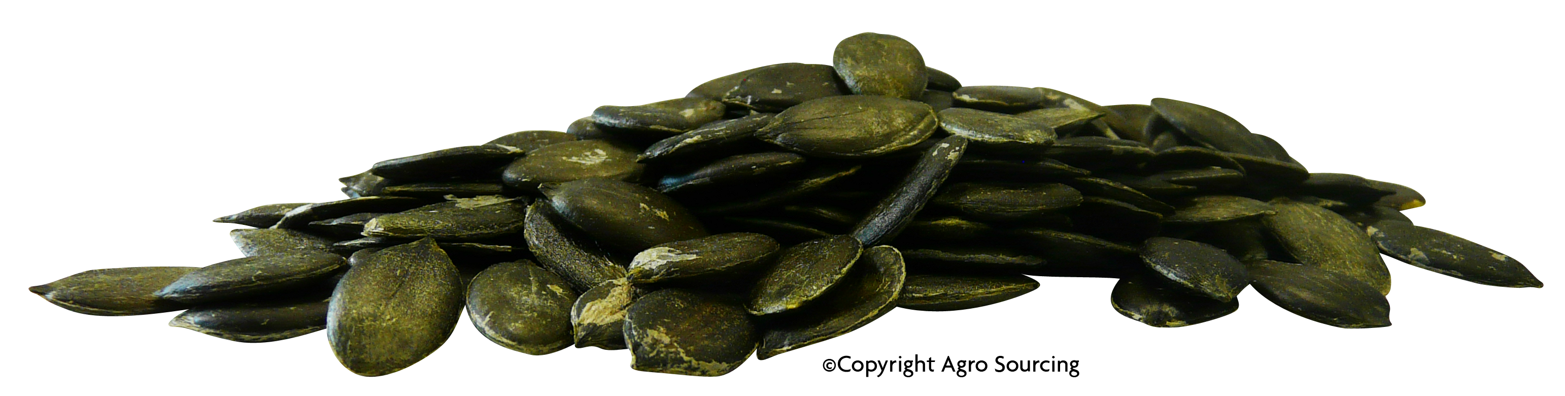 Graines de courge Vrac (origine UE) - 10 kg