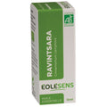 Huile essentielle ravintsara bio - 10 ml