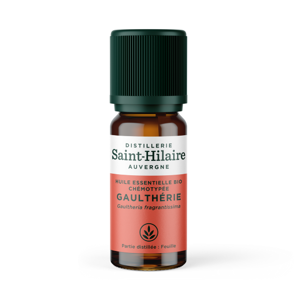 Huile essentielle de gaulthérie bio - 10 ml