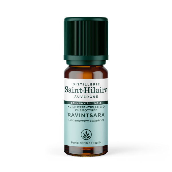Huile essentielle de ravintsara bio ffl - 10 ml