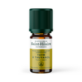 Huile essentielle de thym thuyanol bio - 5 ml