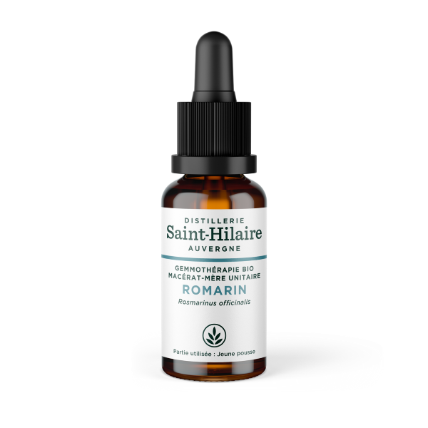 Macérat de romarin bio - 30 ml