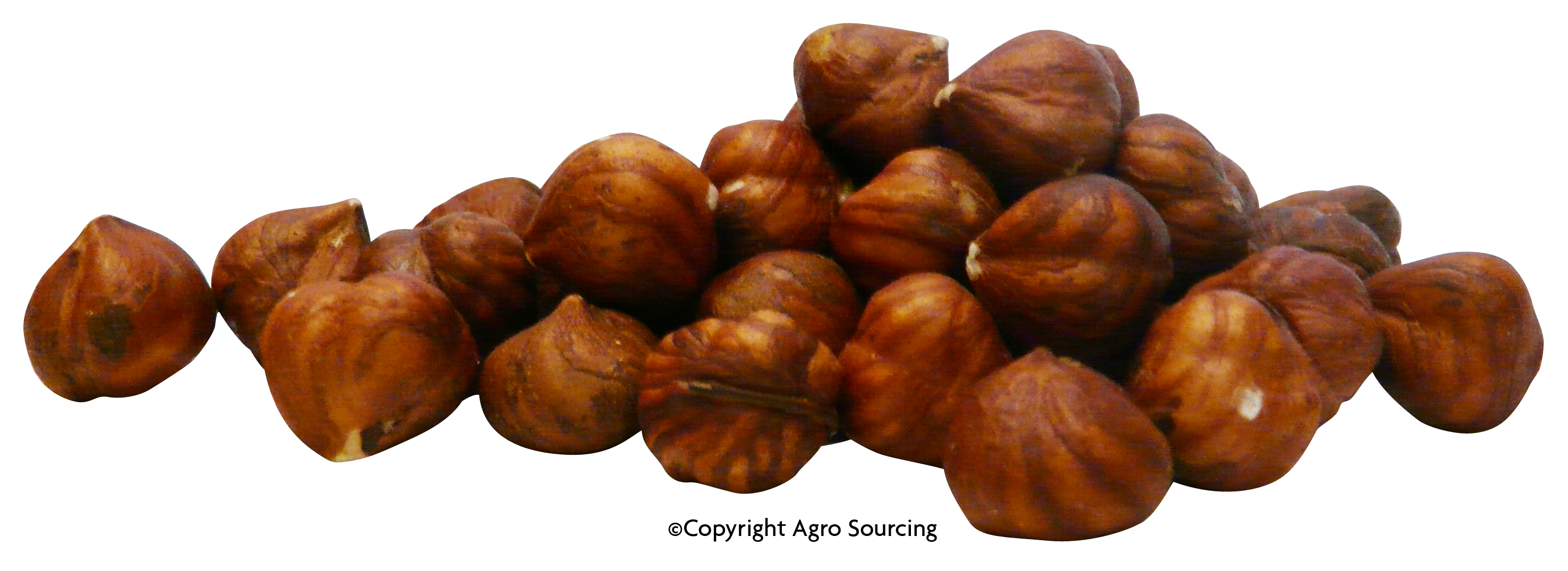 Noisettes décortiquées biopartenaire Vrac (origine Turquie) - 5 kg