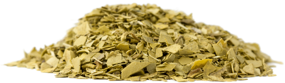 Maté vert bio (brésil) Vrac - 1,5 kg