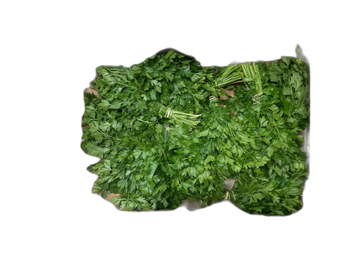 Persil plat botte - Lhopital - Thurins (69)