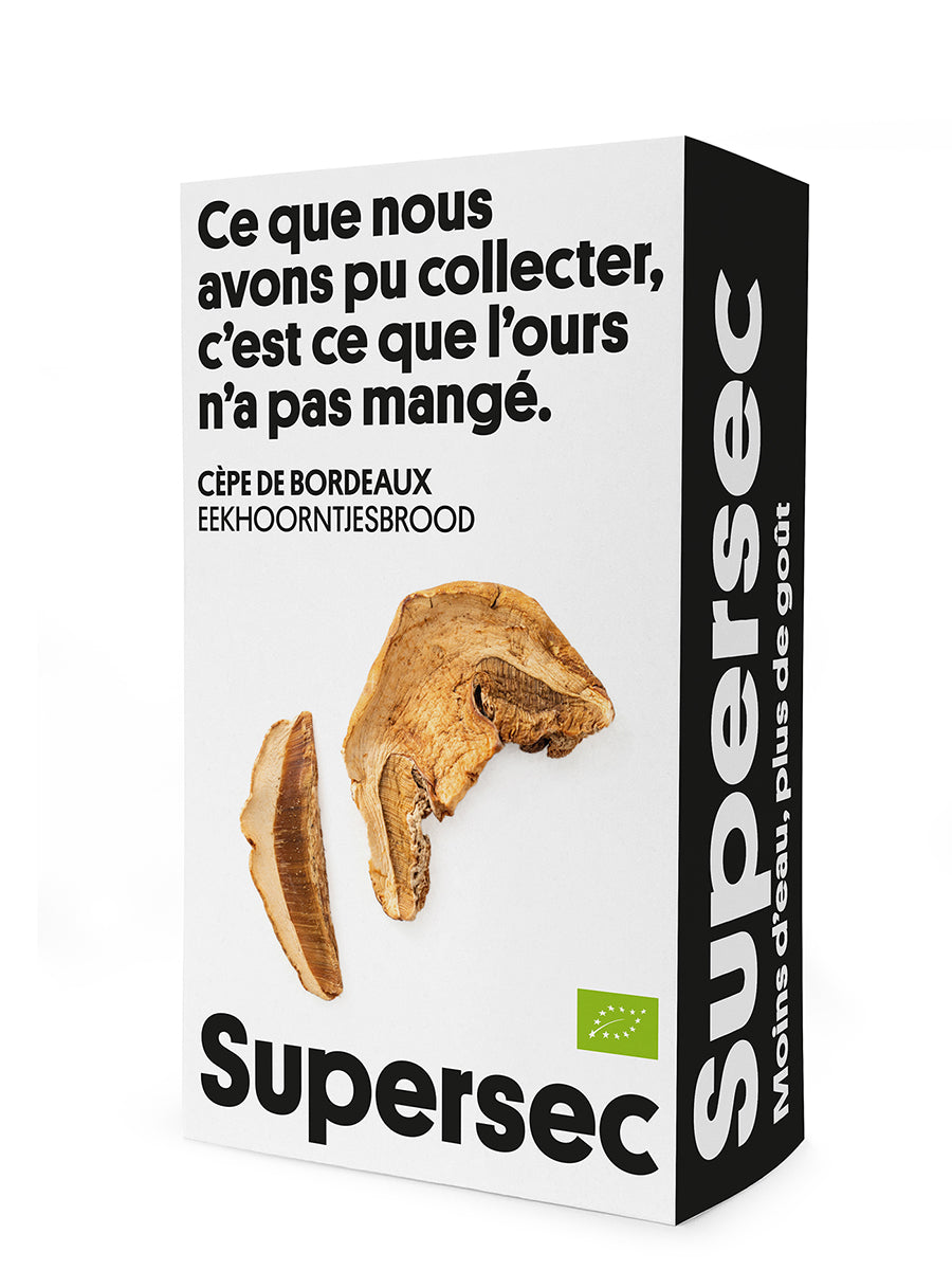 Cèpe de bordeaux bio (origine Europe) - 20 g
