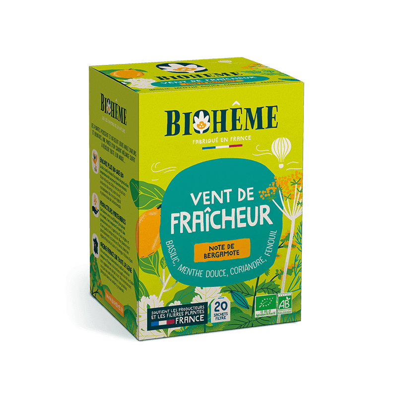 Infusion Vent de fraîcheur - 20 infusettes