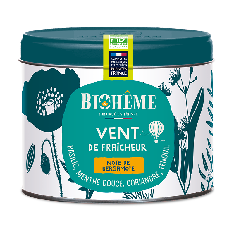 Infusion Vent de fraîcheur boîte métal Vrac - 50 g