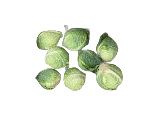 Chou Vert Frisé - Mathis Marcon - Soucieu En Jarrest (69)