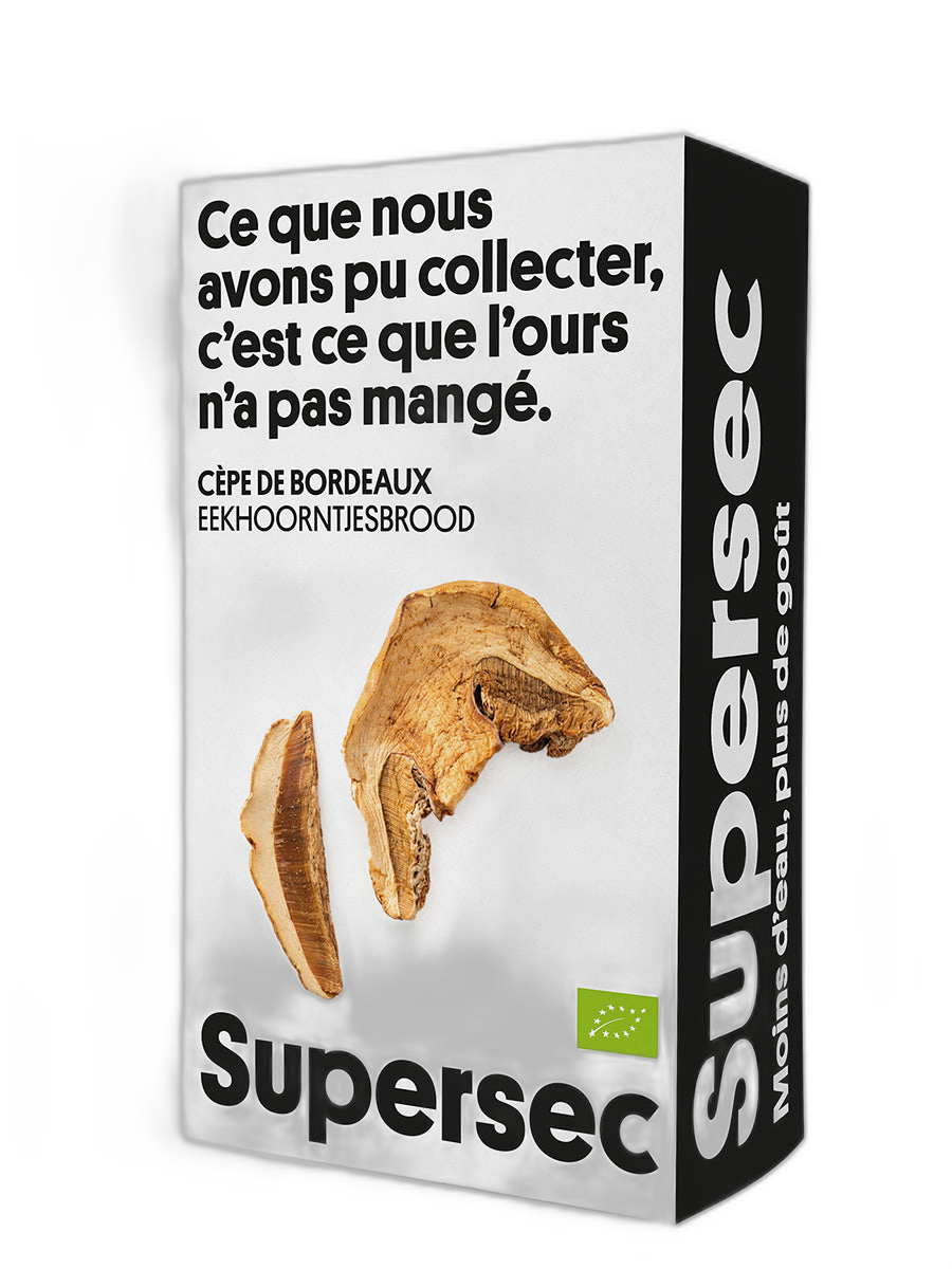 Cèpe de bordeaux bio (origine Europe) - 20 g