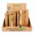 Implantation brosses à dents