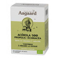 Pastilles propolis, acerola et echinacéa - 20 pastilles sécables à croquer