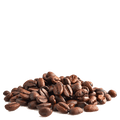 Mélange café moka Guji 100% arabica, bio et équitable - grains Vrac (origine Ethiopie) - 5 kg