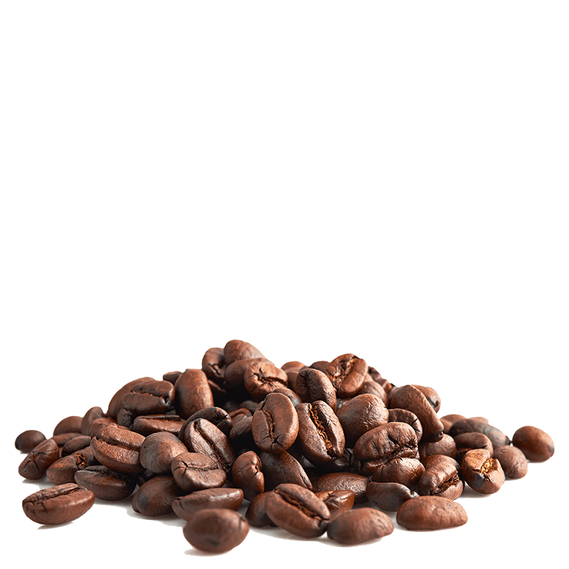 Mélange café moka Guji 100% arabica, bio et équitable - grains Vrac (origine Ethiopie) - 5 kg