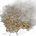 Fenouil fruits bio drôme Vrac (origine France) - 1 kg