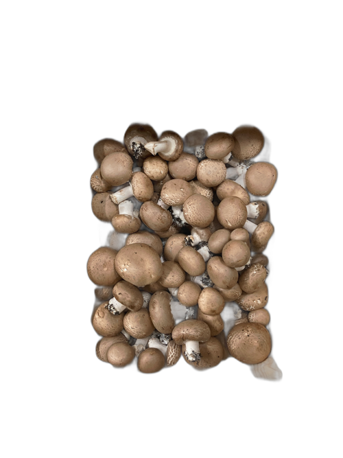 Champignon Paris Brun - La Taniere Des Gones - Lyon (69) - 1 kg