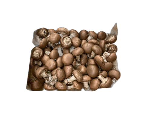 Champignon Paris Brun - 1 kg