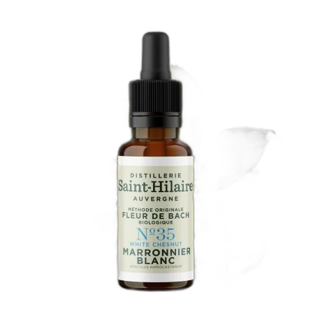 fleur de bach marronnier blanc n¬∞35 bio (white chesnut) - 20 ml
