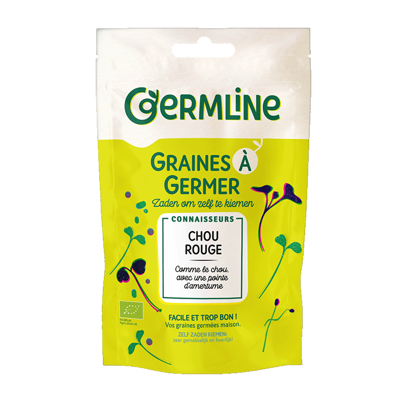 Graines à germer chou rouge bio (origine Italie) - 100 g