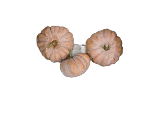 Courge mini-musquée - Sylvant - Agnin (38) - 1 kg
