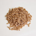 Macaroni blé bio (variété ancienne) Vrac - 5 kg