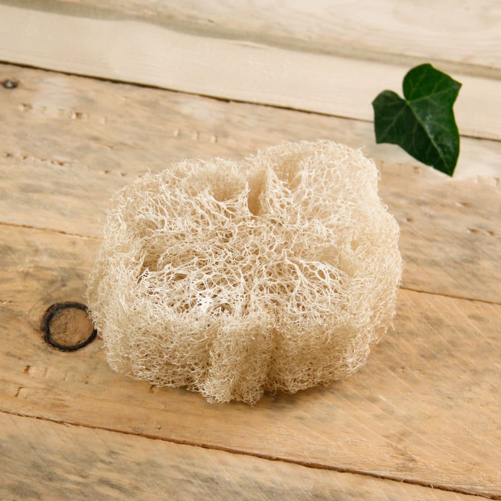 Porte savon biodégradable (luffa brut) - lot de 2