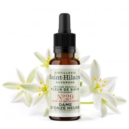 fleur de bach dame d'onze heure n¬∞29 bio (star of bethlehem) - 20 ml