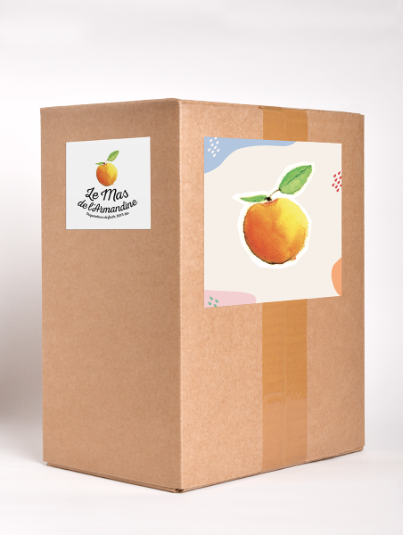 Confiture abricot bio Vrac - 5 kg