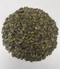 Graines de courge bio Vrac (origine UE) - 5 kg